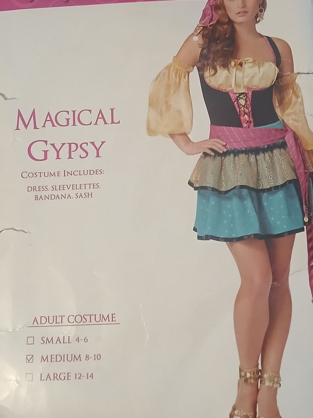 Magical Gypsy Costume in Gold, Black, Pink, Blue - Spirit Halloween